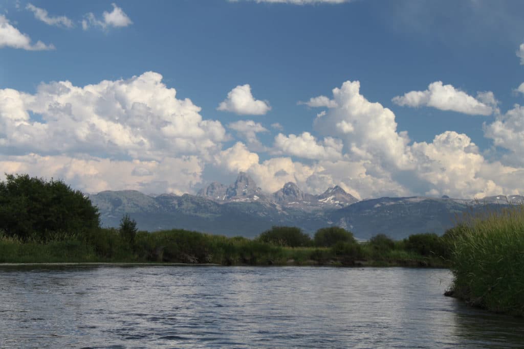 Top 3 Fly Fishing Rivers in Idaho Solitude River Trips
