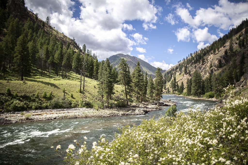 run along the river in the springtime