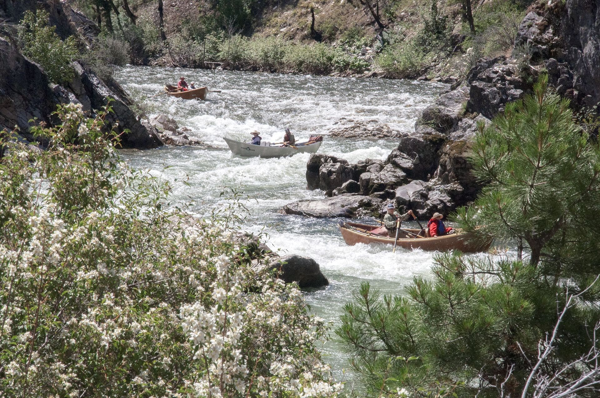 Wilderness Idaho