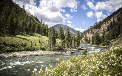 Best Time To Raft The Salmon River