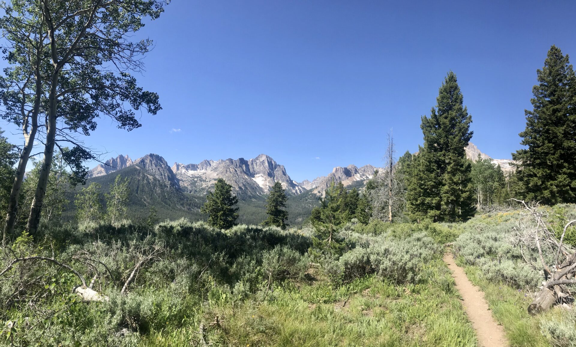 a view of the Sawtooths from the trail. 
