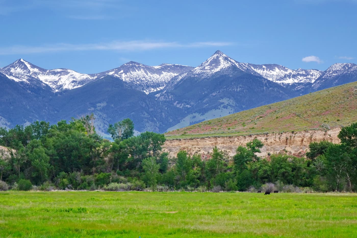 A thing to do in Salmon, Idaho is to witness spring in the Beaverhead Mountains. 