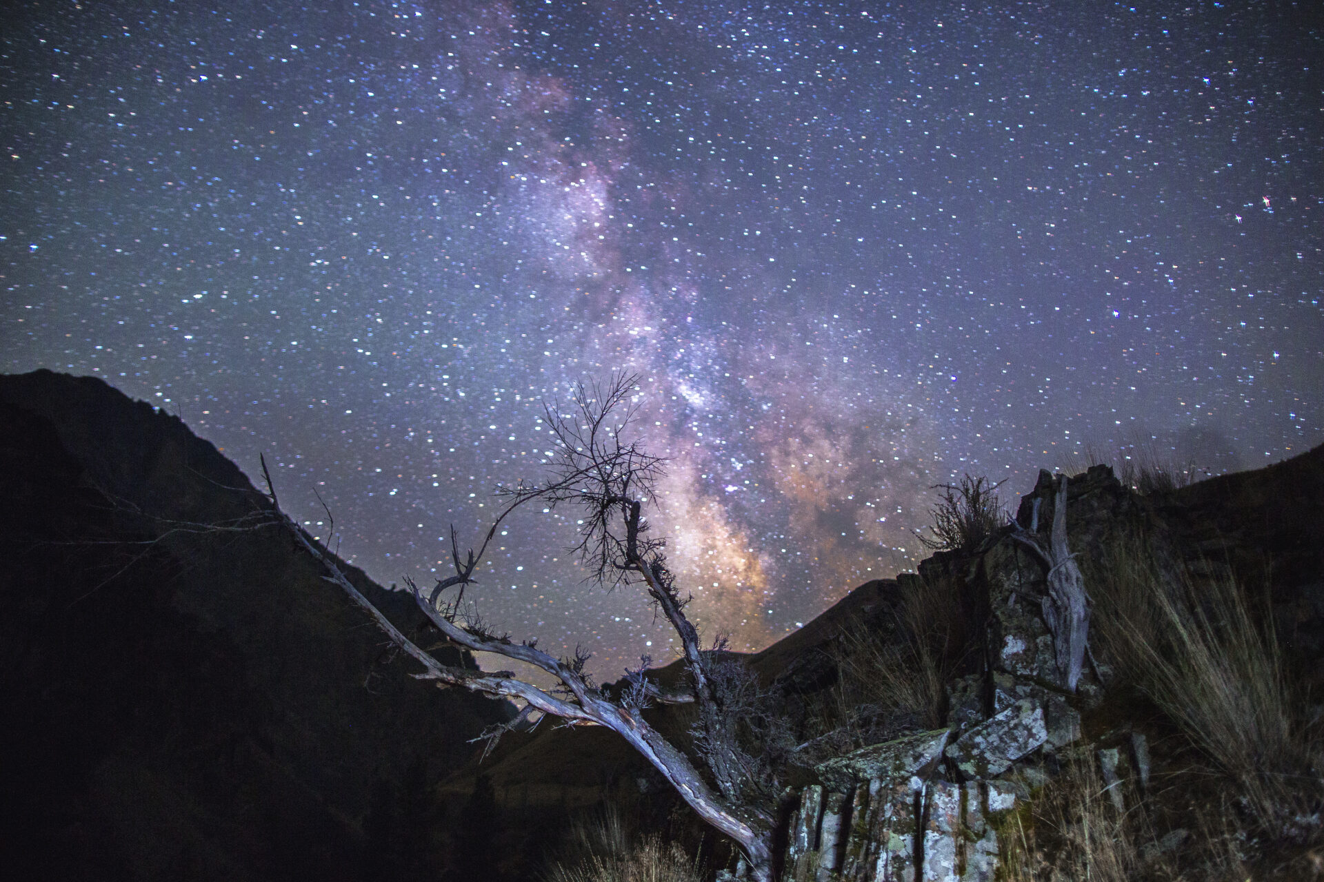 Milky Way over the Middle Fork