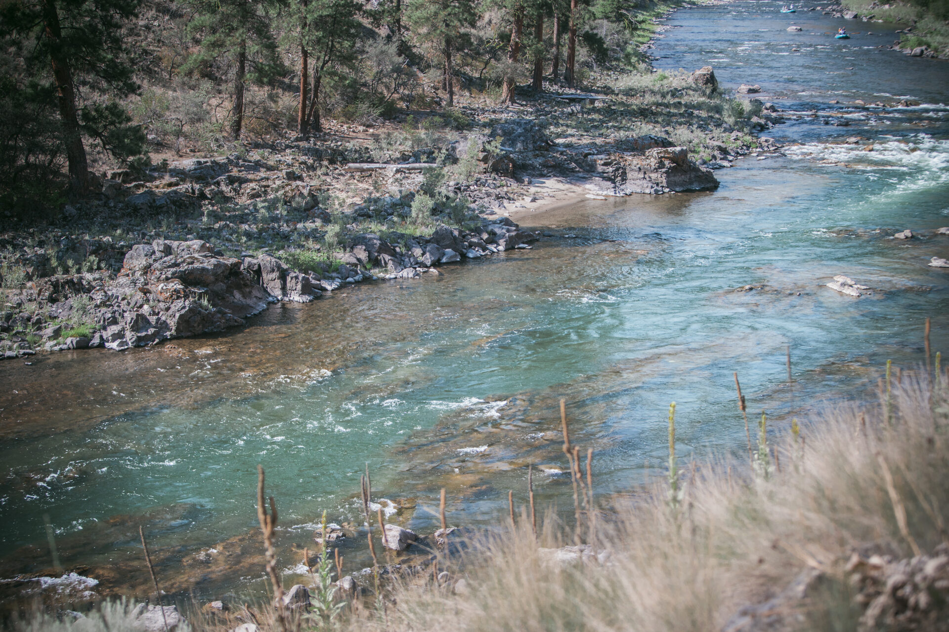 a beautiful view of the underwater canyon on the Middle Fork