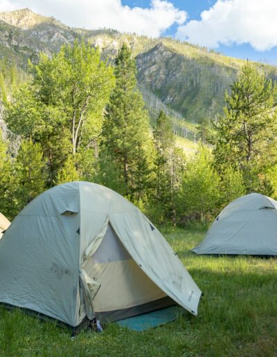 tents set up in a green clearing in a forest on the middle fork salmon river