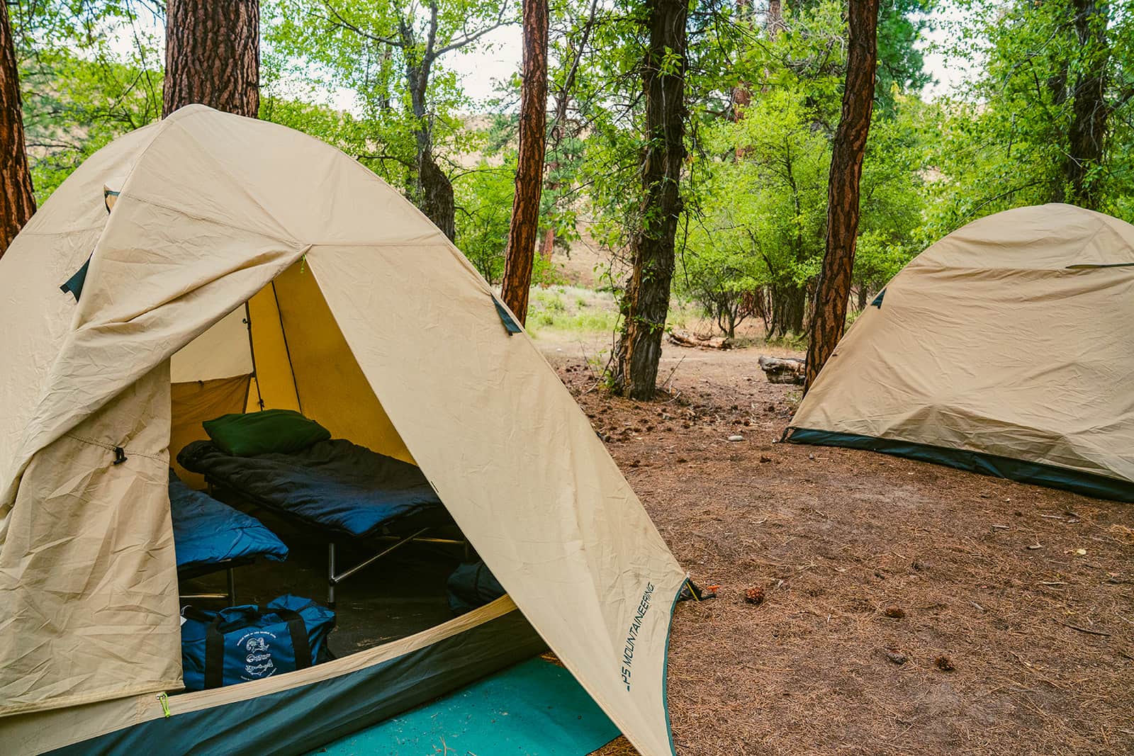 Tents and cots set up in a riverside camp