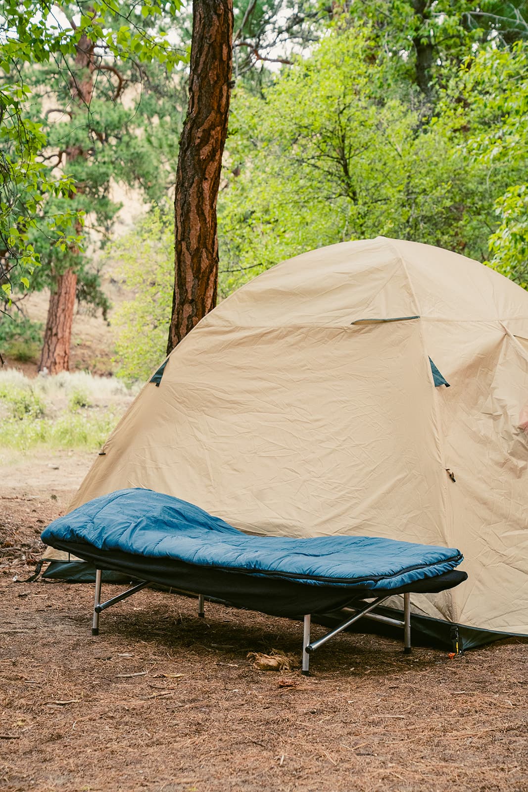 luxuary-camping-accommodations cot and sleeping bag set up at camp on the Middle Fork Salmon River