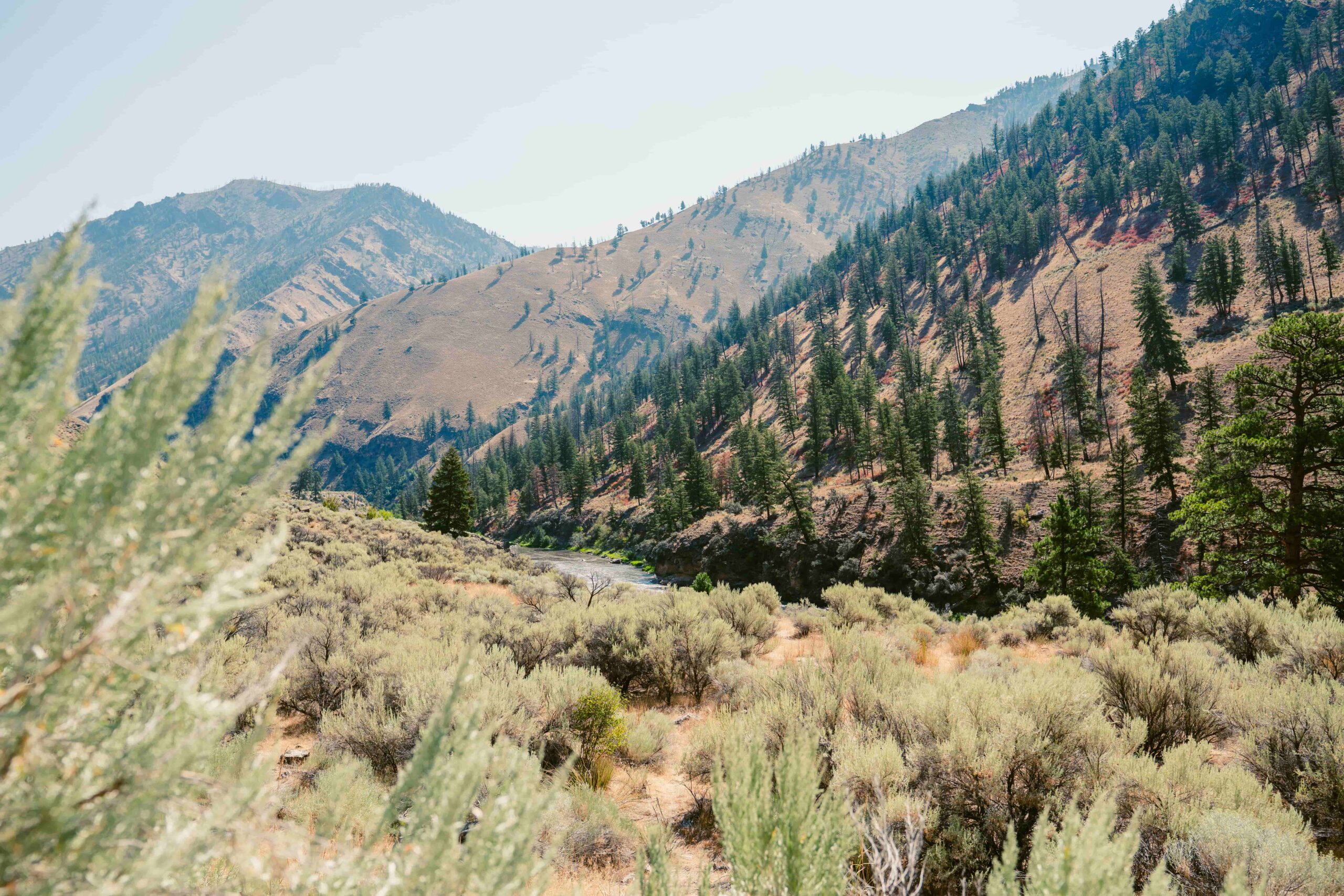 Hiking the Middle Fork trail takes you through sagebrush fields and high desert environments. 