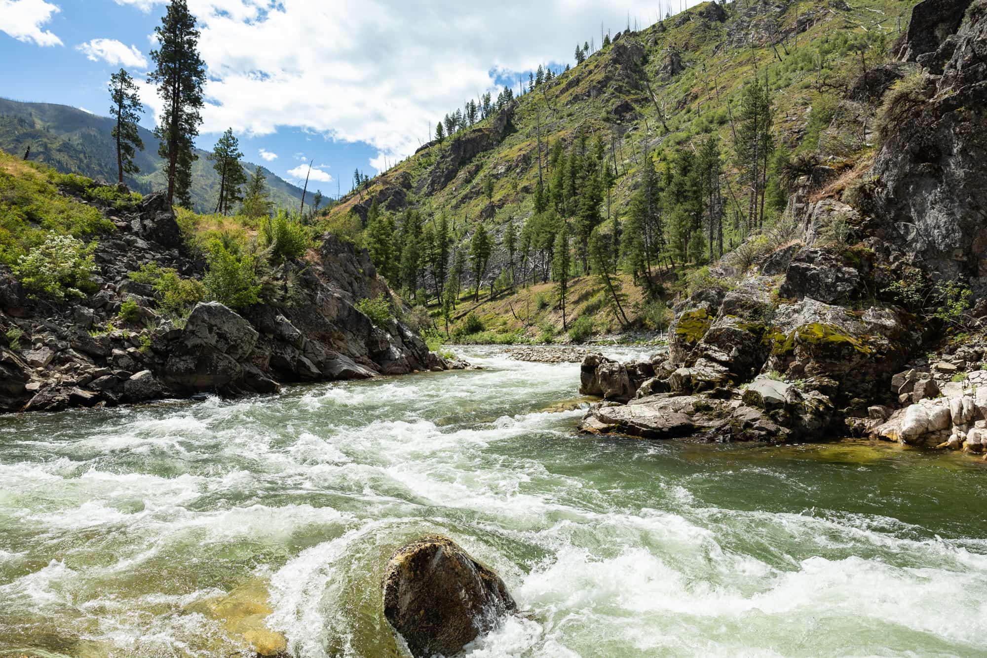 A view while hiking the Middle Fork trail looking upstream at a rapid with a large boulder in the middle.